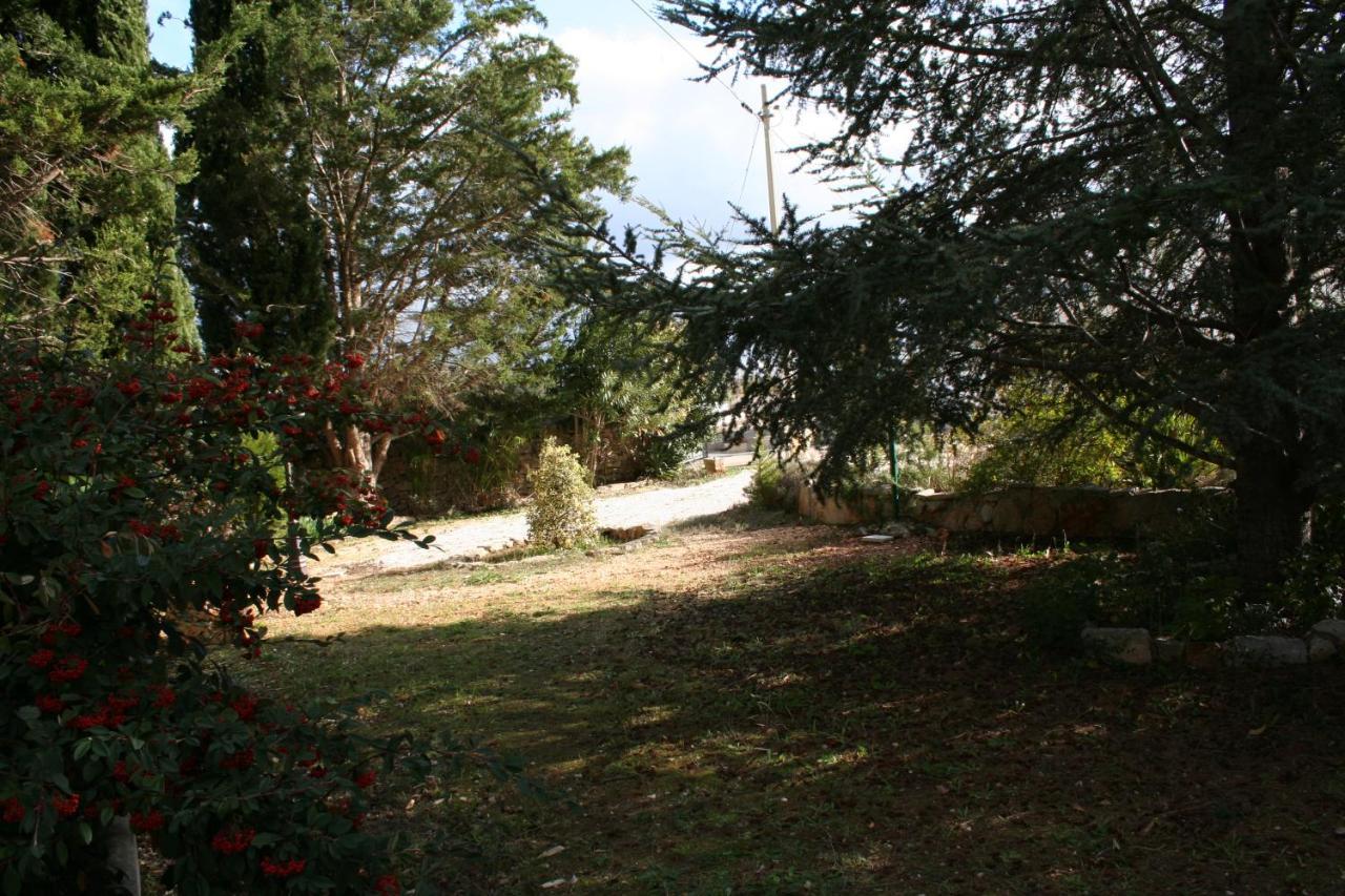 Casa Vacanza I Cedri Villa Martina Franca Buitenkant foto