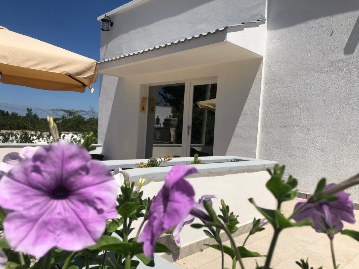 Casa Vacanza I Cedri Villa Martina Franca Buitenkant foto